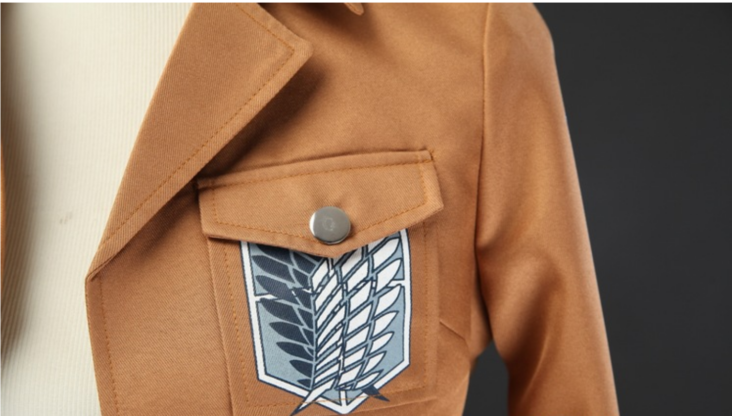 Freedom Captain Mikasa Allen cosplay jacket top