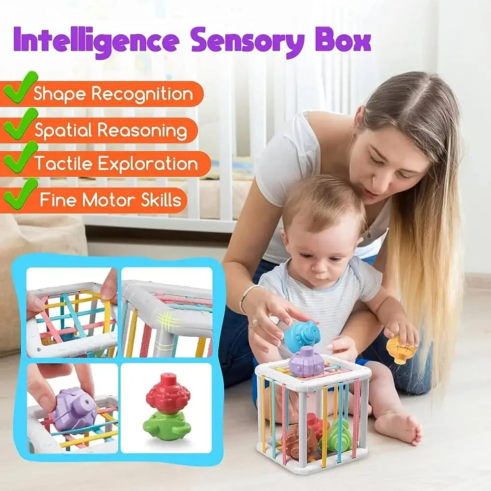 Rainbow Shape Sorter for Babies