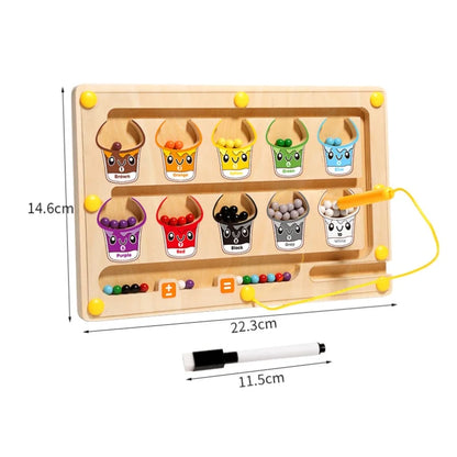 Colorful Magnetic Learning Maze