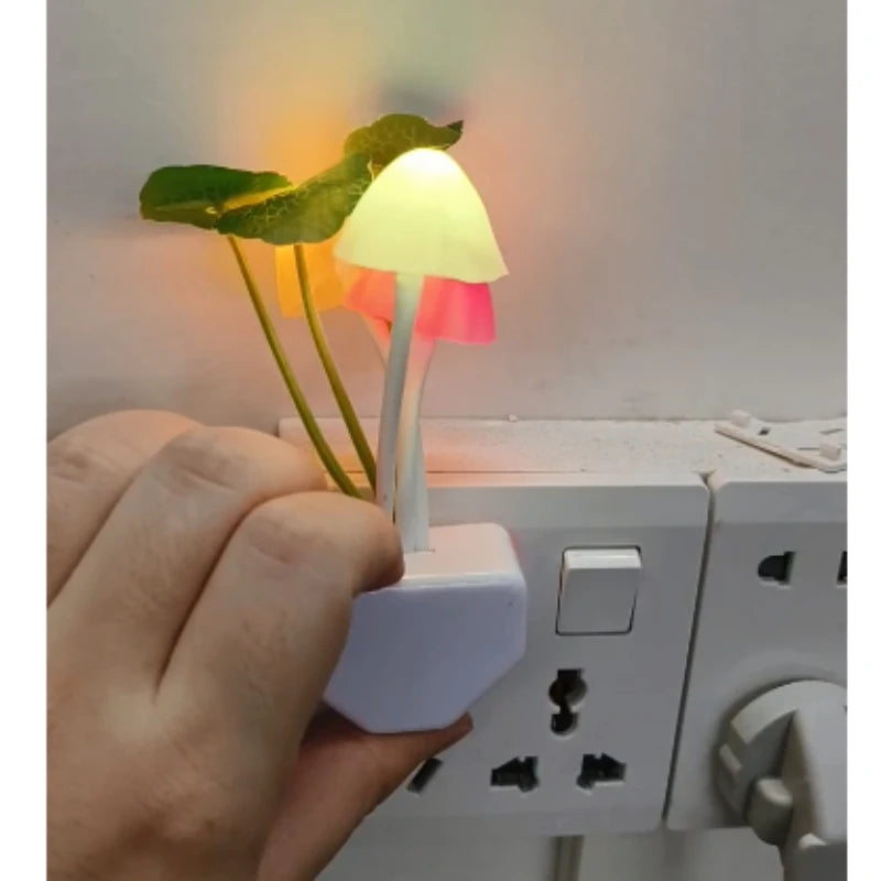 Colorful Mushroom Night Light