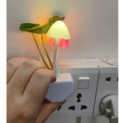 Colorful Mushroom Night Light