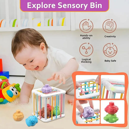 Rainbow Shape Sorter for Babies